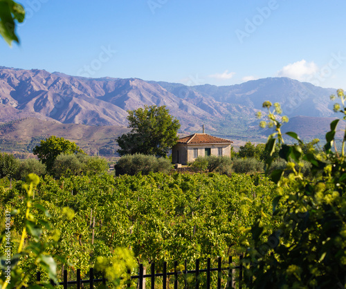 Sicilian wine agriculture farm at the foot of Etna volcano. Scenic panoramic views of the valley, farmland and mountains. Sunny photo good for touristic travel agency booklet, vineyard poster or ads.