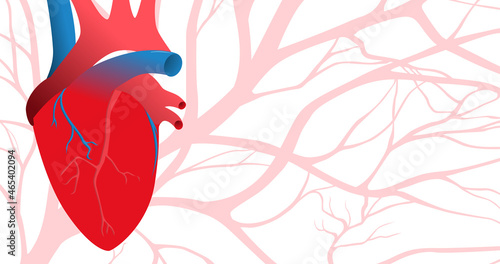 Human heart and blood vessels. Abstract pattern with pale red arteries.