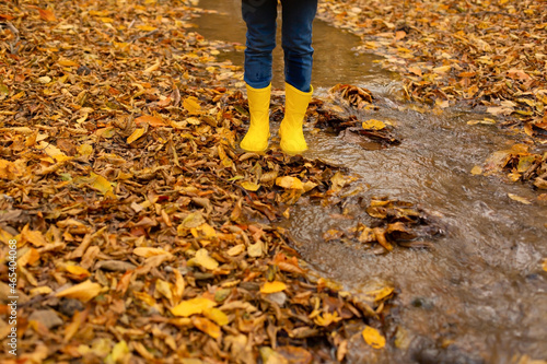 children's feet in yellow boots stand in the autumn forest next to the river