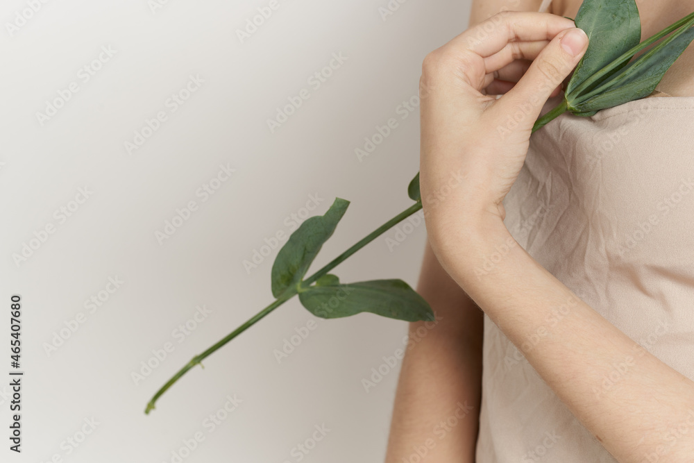 Obraz premium cheerful woman flowers in hands posing charm isolated background