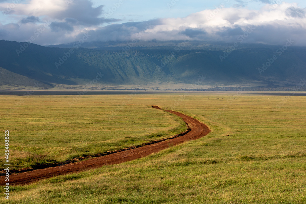 Red Dirt Road Through Green Grasses in Ngorongoro Crater, Tanzania, Africa