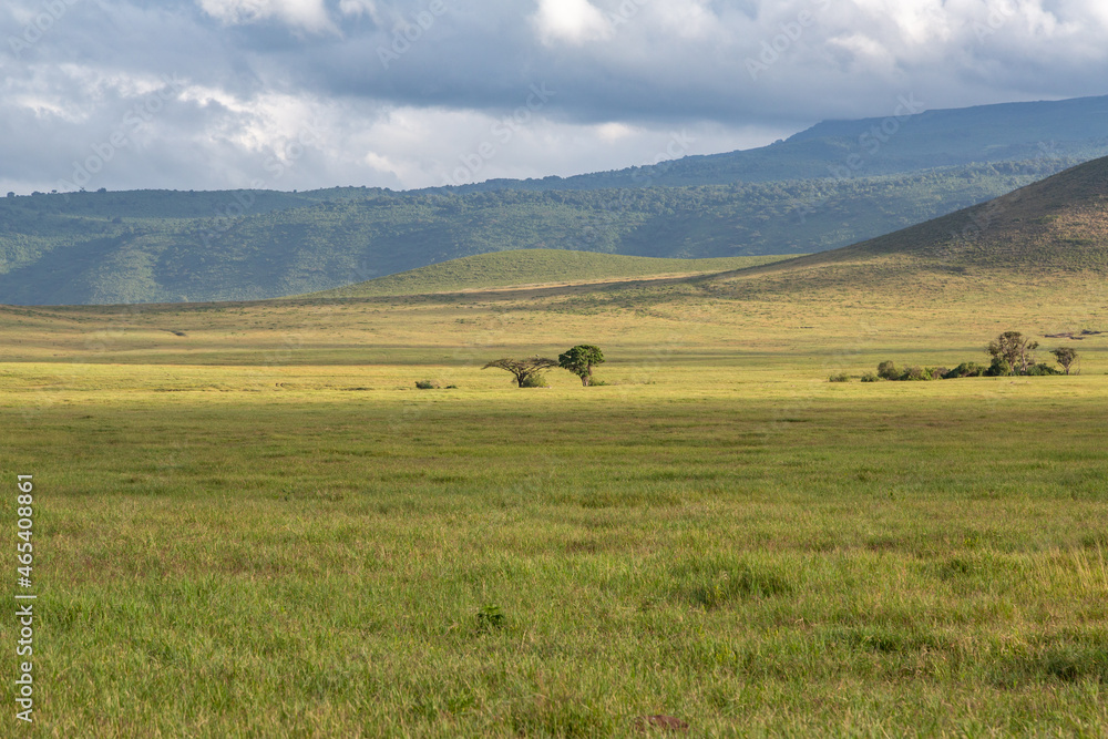 A Cloudy Morning in the Grasslands of Ngorongoro Crater National Park, Tanzania, Africa
