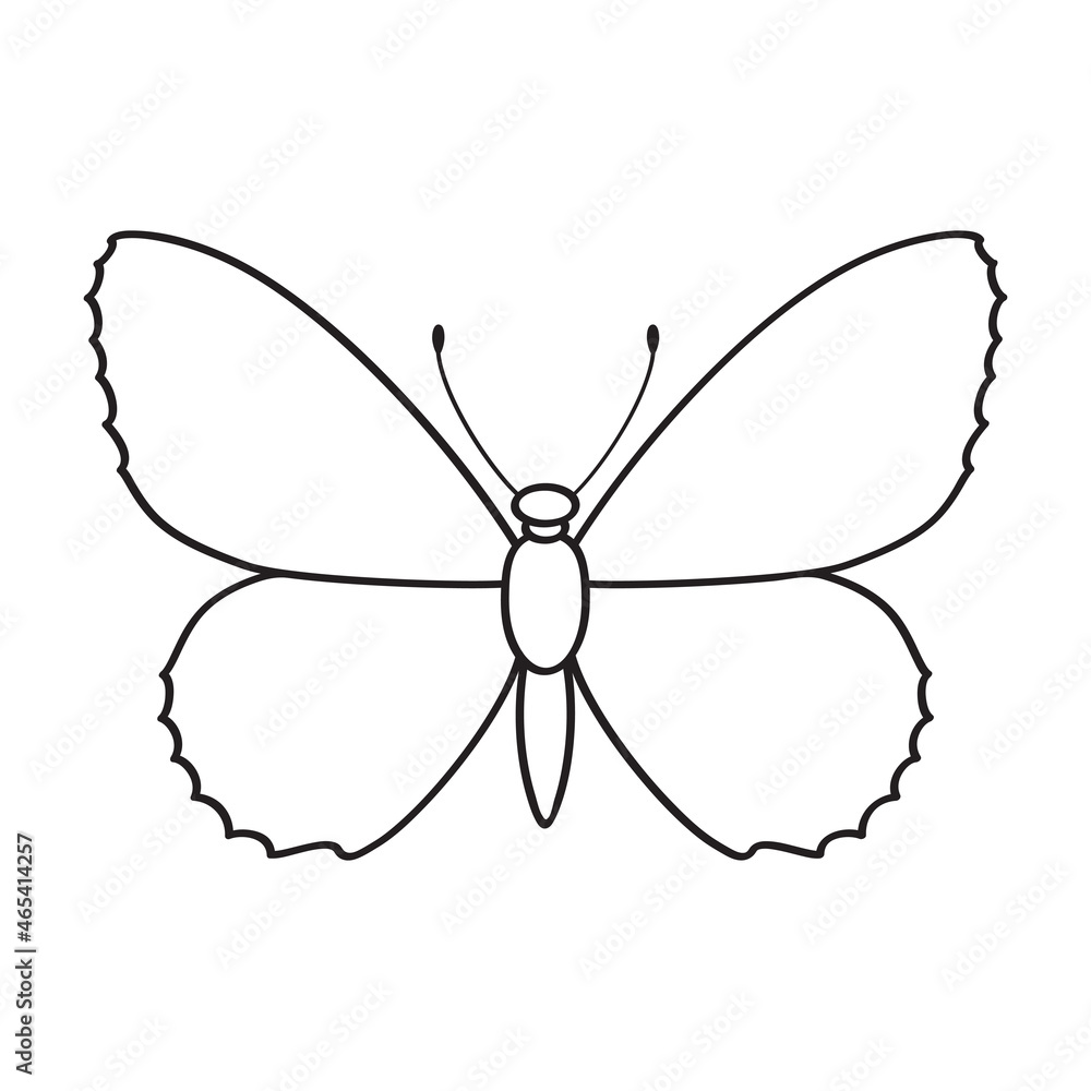Butterfly 7