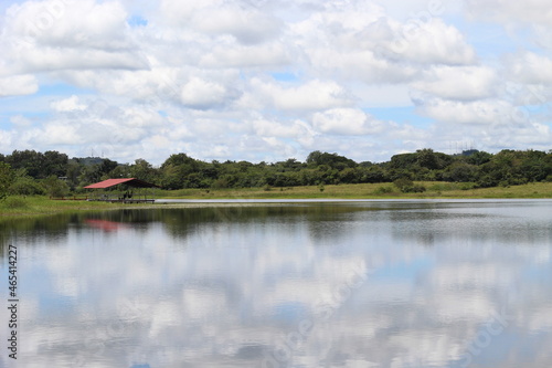 Lago en verano
