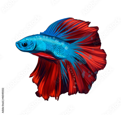 Slika na platnu Fish cockerel, Siamese fighting fish cockerel betta from multicolored paints