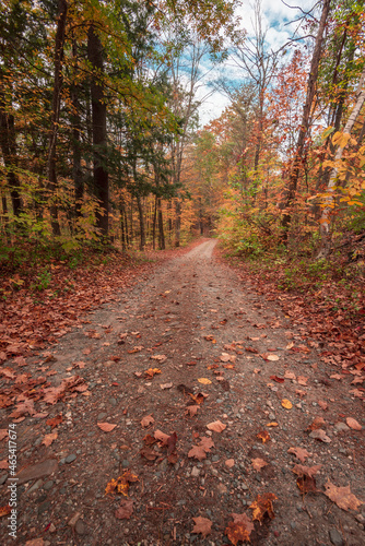 leaf covered trail in fall with seasonal autumn colors