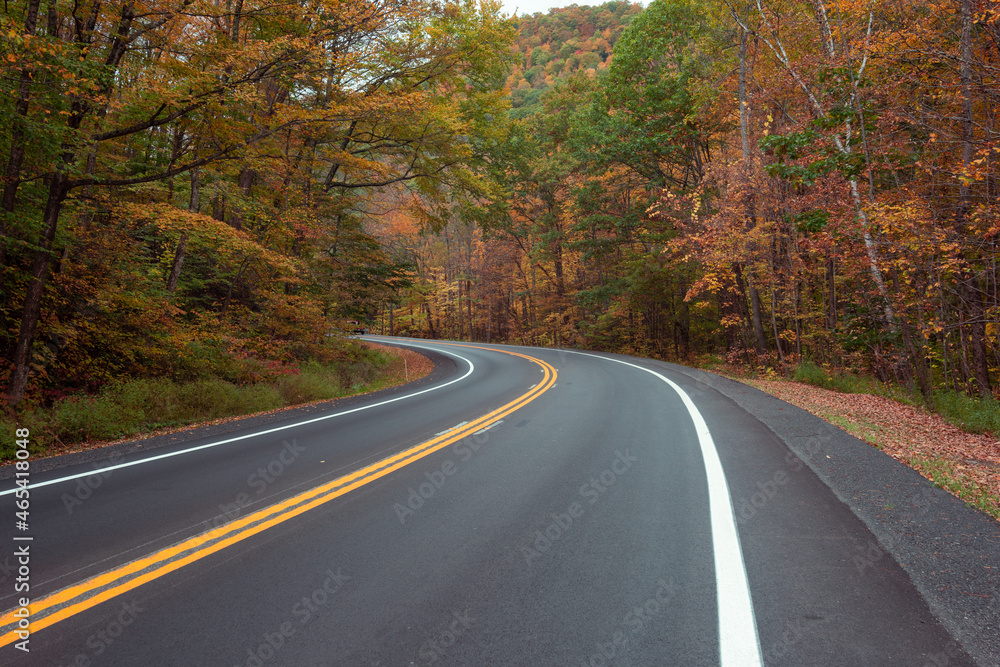 Fototapeta premium left turning road on highway with fall foliage
