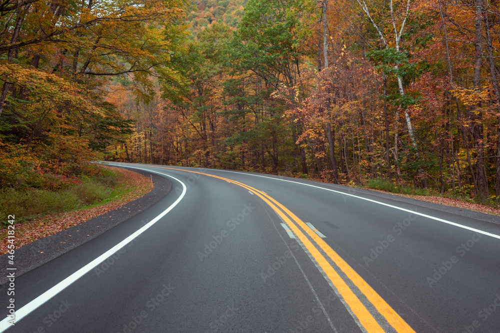 countryside rural road through forest with foliage countryside rural road through forest with foliage