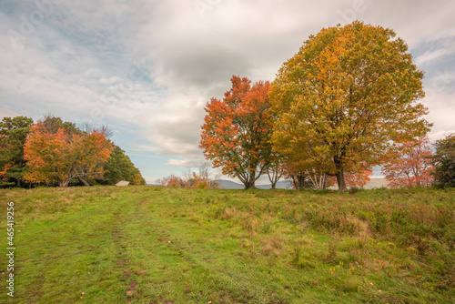 autumn colors in field with orange and yellow trees