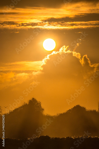 sunrise and sea