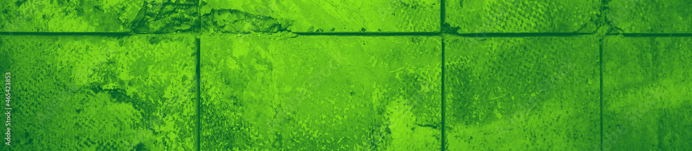 Fototapeta premium abstract green bright color background for design