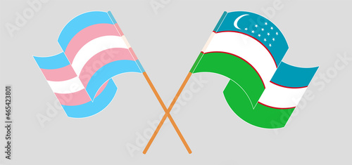 Crossed and waving flags of Transgender Pride and Uzbekistan