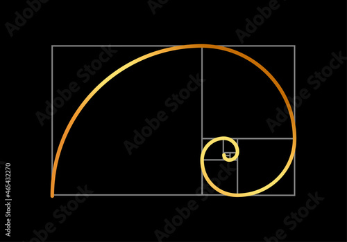 Golden ratio vector proportion spiral section. Fibonacci golden ratio geometry