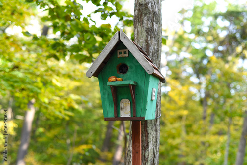 wooden birdhouse with food for birds