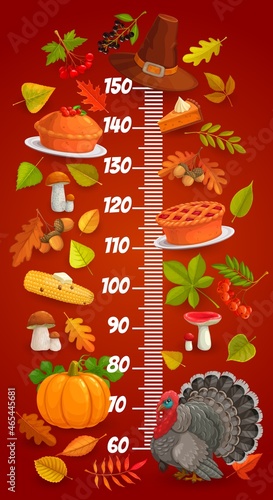 Kids height chart of vector Thanksgiving autumn leaves, turkey, pie and pilgrim hat, harvest holiday food, pumpkin and corn with ruler scale. Thanksgiving growth measure meter, stadiometer sticker