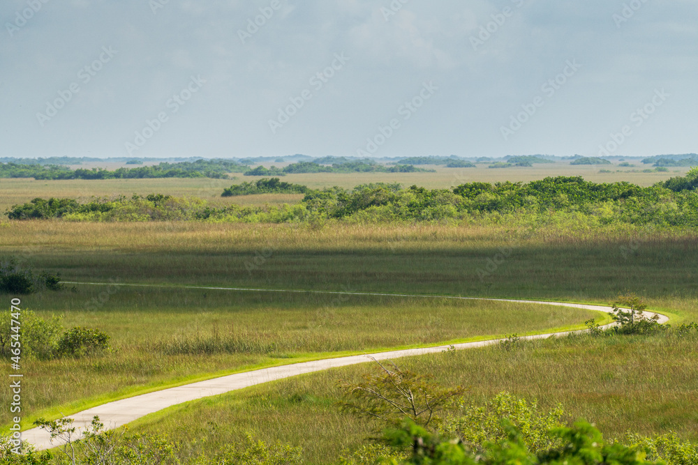 Winding multiuse path through the Florida Everglades