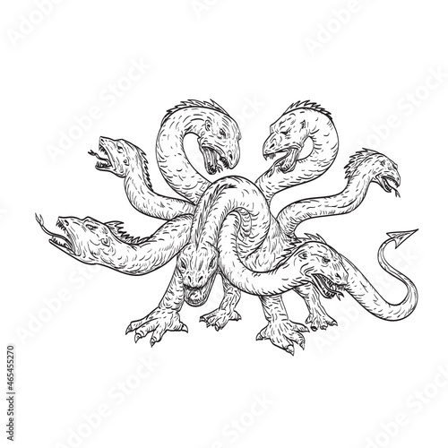 Drawing sketch style illustration of Herensuge a mythical dragon in the Basque mythology with seven heads in the form of a serpent viewed from front on isolated white background.