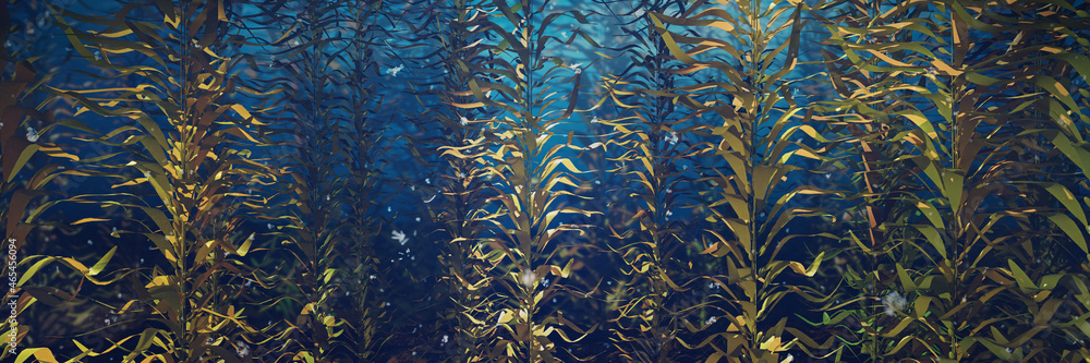 beautiful kelp forest, brown algae seaweed