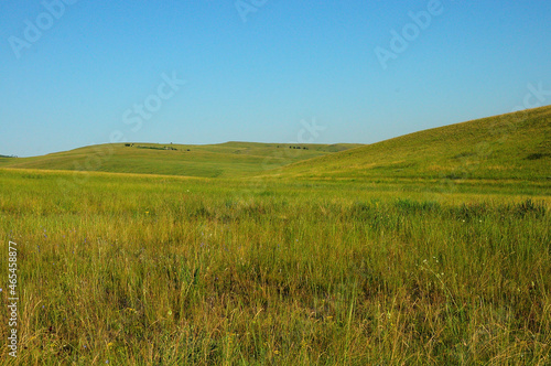 A field of tall grass in a picturesque valley surrounded by rolling hills under a clear summer sky.