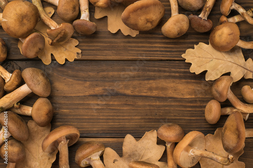 A frame of autumn mushrooms and leaves on a wooden background. Place for text.