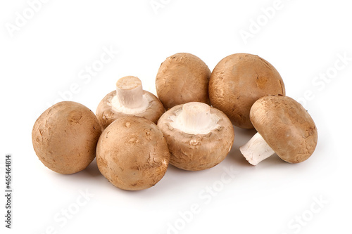 Fresh champignon mushrooms  isolated on white background