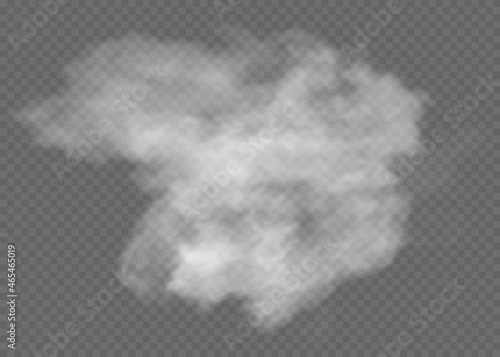 Fog or smoke isolated transparent special effect.Vector illustration.