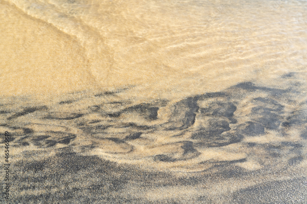 Fototapeta premium footprints on the sand