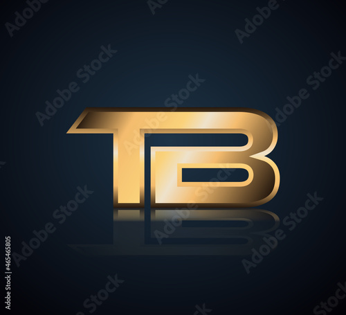 Initial 2 letter Logo Modern Simple Gold in Dark Background with Reflection TB