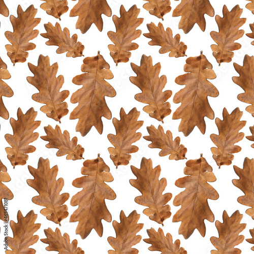 Pattern of autumn. Dry oak leaves pattern. Thanksgiving backdrop.