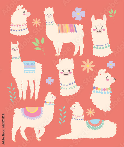 colorful llamas and flowers