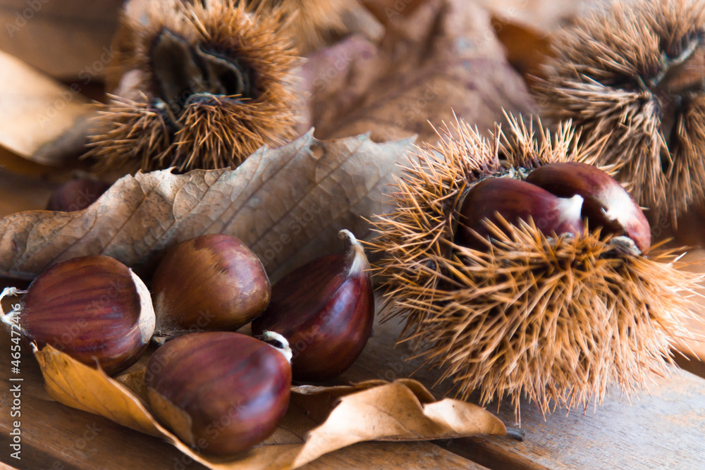 fresh and organic chestnuts on wooden background