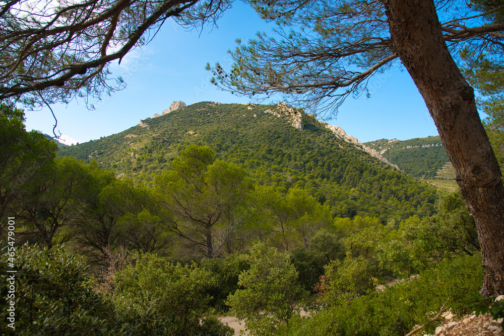 Dentelles de Montmirail in der provence Dentelles de Montmirail in der provence