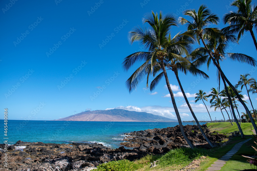 Palms island paradise wallpaper. Coco palms on blue sky. Exotic summer nature background, natural landscape. Summer tropical island, holiday or vacation pattern.