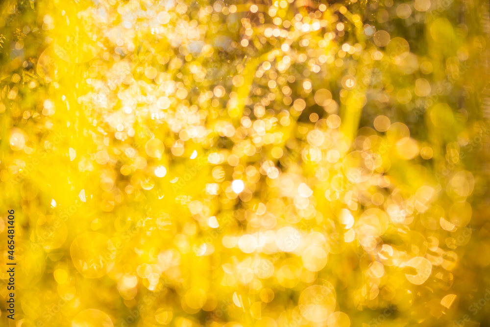 Bright gold effect bokeh light day of nature background. abstract defocused blurred circles glitter glow. for happy new year, merry christmas celebration party holidays concept. Bright gold effect bokeh light day of nature background. abstract defocused blurred circles glitter glow. for happy new year, merry christmas celebration party holidays concept.