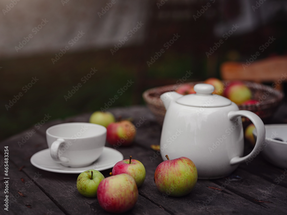 beautiful autumn still life in apple orchard beautiful autumn still life in apple orchard