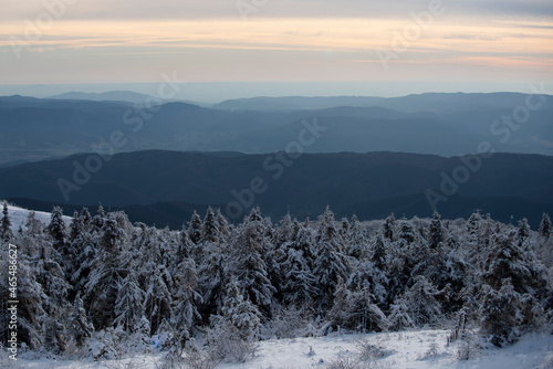 Snow covered trees in the mountains on winter landscape. Winter forest background. Scenery in winter.