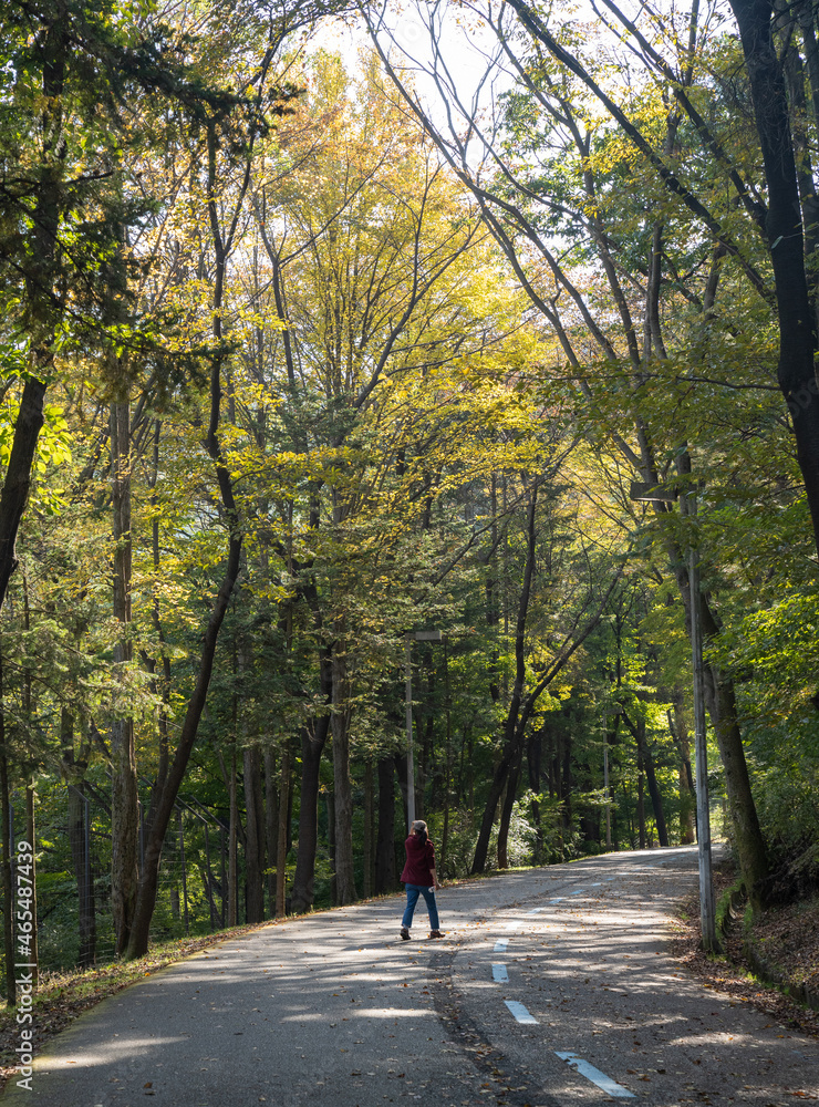 A leisurely walk in the park A leisurely walk in the park