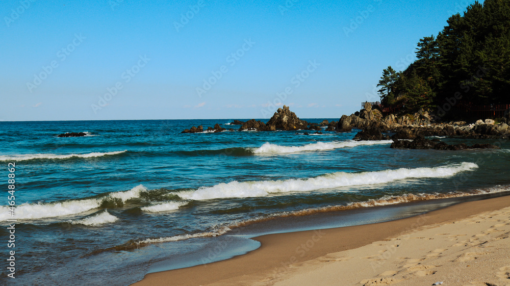 Obraz premium view of the beach