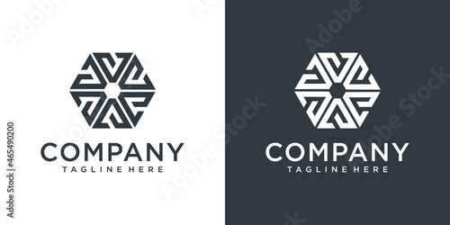 v logo hexagon design