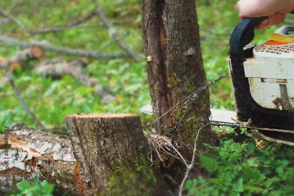 Man with saw. Man sawing log of the tree with flying sawdust outside Man with saw. Man sawing log of the tree with flying sawdust outside