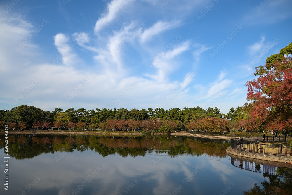 桜並木のリフレクションが綺麗な池の背後に、煙が上っているように見える雲が浮かんでいる公園の風景