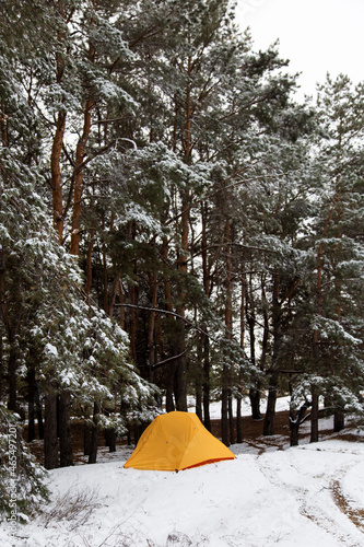 Yellow tourist tent in the winter pine forest, Hike in the forest with the first snow.