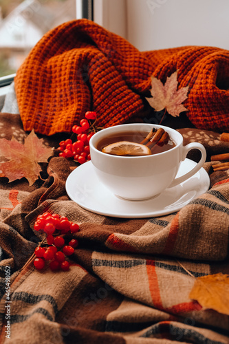 Autumn mood concept. Hot tea with lemon and cinnamon sticks on cozy sweater scarf background. Fall leaves and berries composition still life. Cup of mulled wine. Tea Time photo