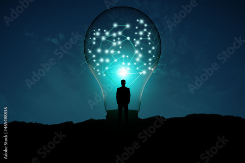 Fototapeta Naklejka Na Ścianę i Meble -  Back view of backlit man looking at creative glowing lamp with polygonal connections on night landscape background. Idea and innovation concept.