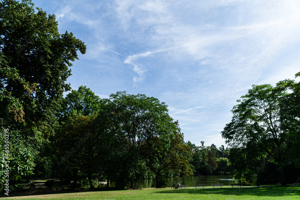 Landscape in park with trees, grass and blue sky