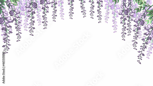 たくさんの藤の花