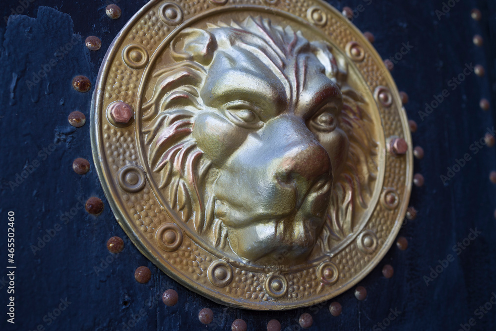 bronze lion head