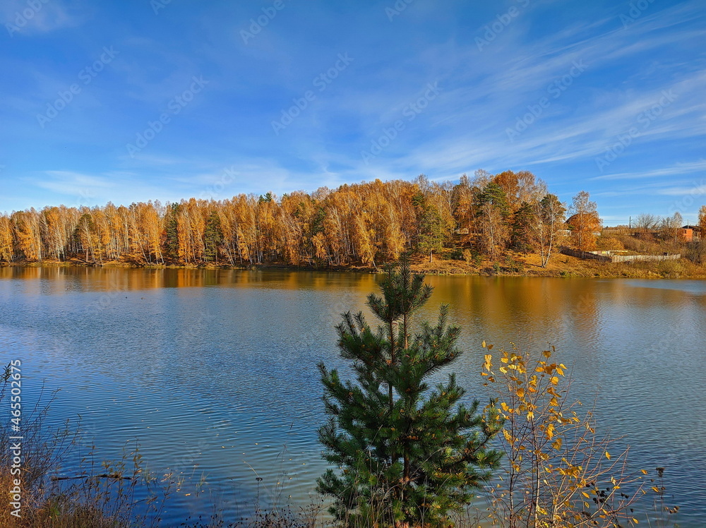 autumn lake during sunny day in siberia russia yellow trees