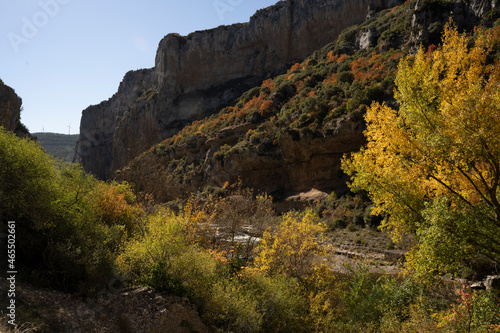 autumn landscape in a canyon in foz de lumbier