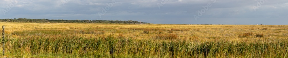 Salzwiesen beim Böhler Leuchtturm